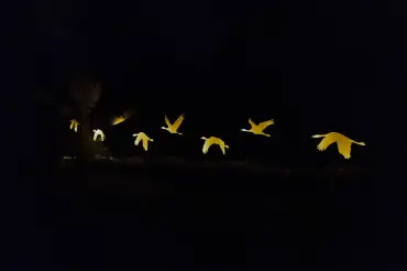 Haferlandhaus Zaun beleuchtet